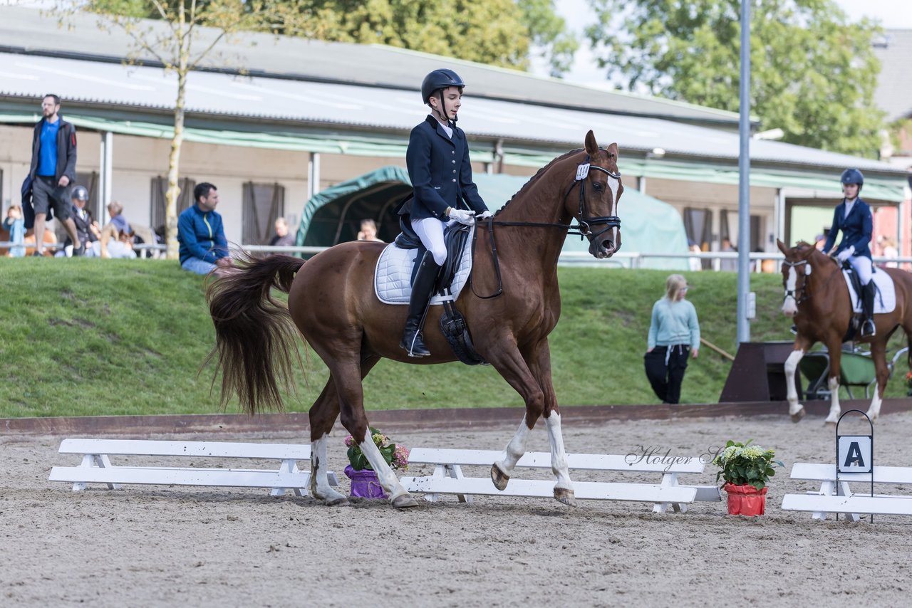 Bild 185 - Pony Akademie Turnier